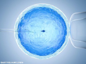 私人志愿者供卵助孕包生儿子